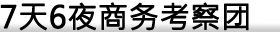7天6夜商务考察团