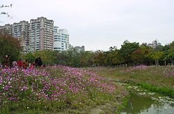 描述: http://upload.wikimedia.org/wikipedia/commons/thumb/5/5b/Tainan_spring.jpg/250px-Tainan_spring.jpg